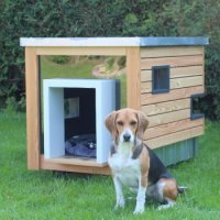Hundehaus -Lotti-