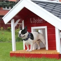 Hundehaus -Bonbon-